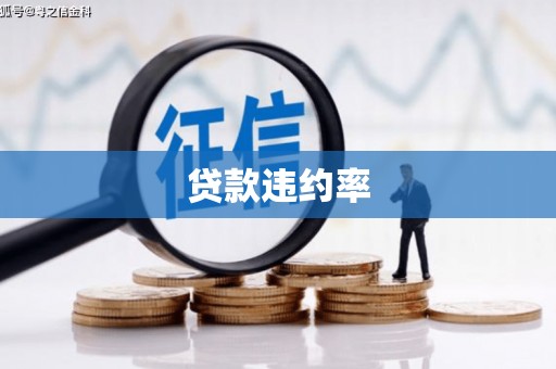松北贷款违约率