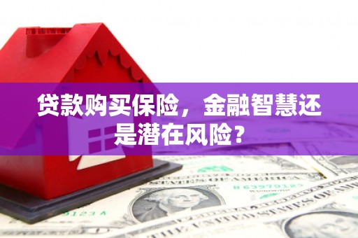 松北贷款购买保险，金融智慧还是潜在风险？