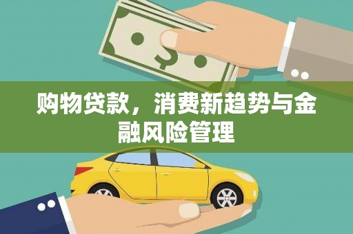 松北购物贷款，消费新趋势与金融风险管理