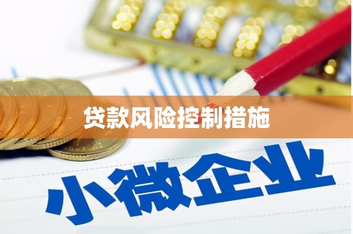 松北贷款风险控制措施