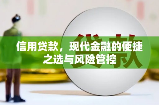 松北信用贷款，现代金融的便捷之选与风险管控