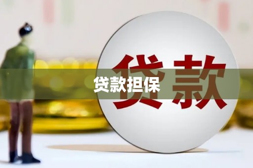 松北贷款担保