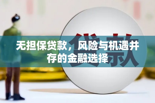 松北无担保贷款，风险与机遇并存的金融选择