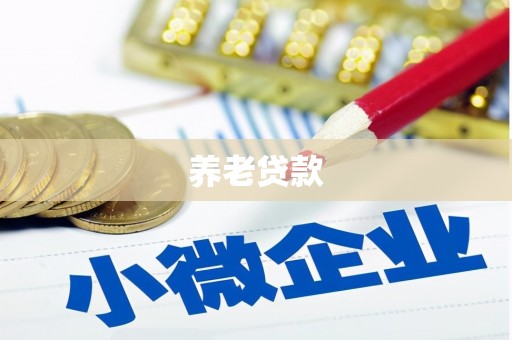 松北养老贷款