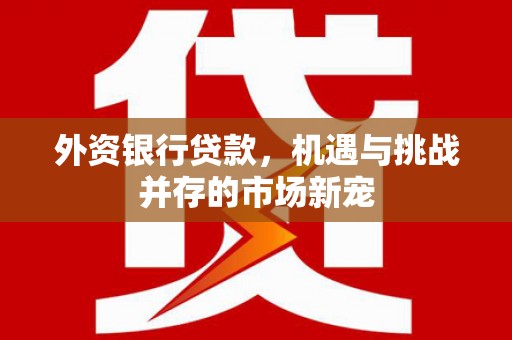松北外资银行贷款，机遇与挑战并存的市场新宠