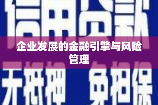 松北企业发展的金融引擎与风险管理