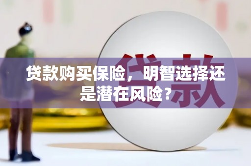 松北贷款购买保险，明智选择还是潜在风险？