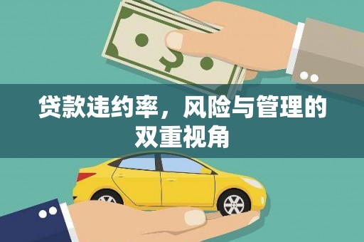 松北贷款违约率，风险与管理的双重视角