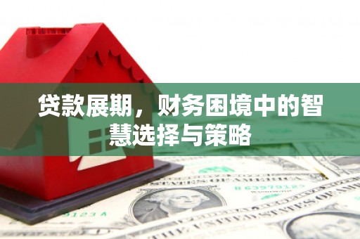 松北贷款展期，财务困境中的智慧选择与策略