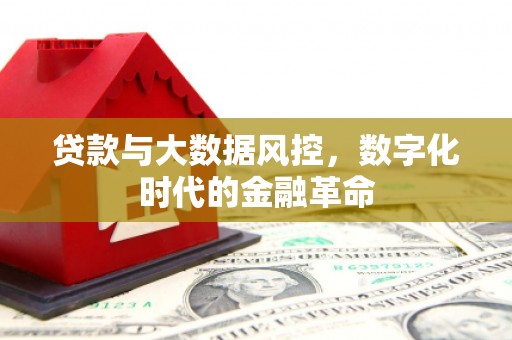 松北贷款与大数据风控，数字化时代的金融革命