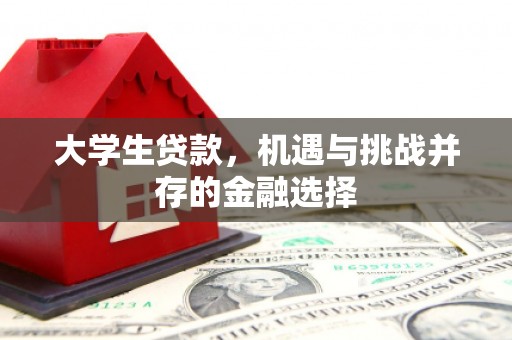 松北大学生贷款，机遇与挑战并存的金融选择