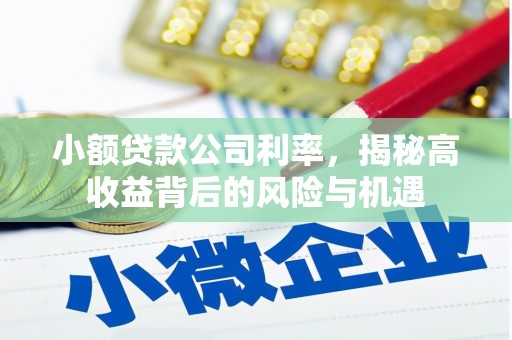 松北小额贷款公司利率，揭秘高收益背后的风险与机遇