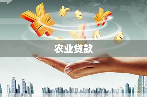 松北农业贷款