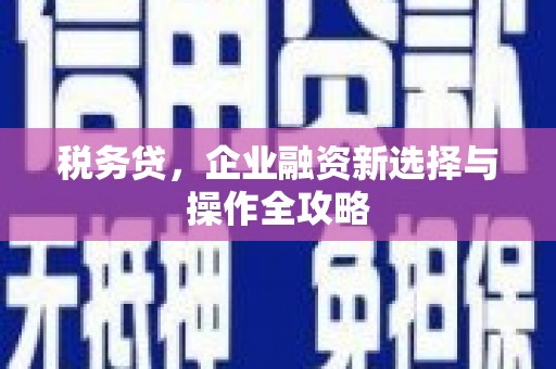 松北税务贷，企业融资新选择与操作全攻略