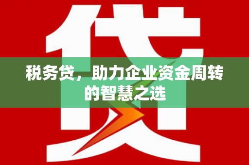 松北税务贷，助力企业资金周转的智慧之选