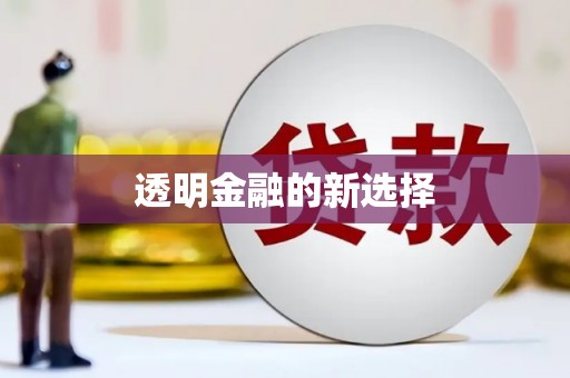 松北透明金融的新选择