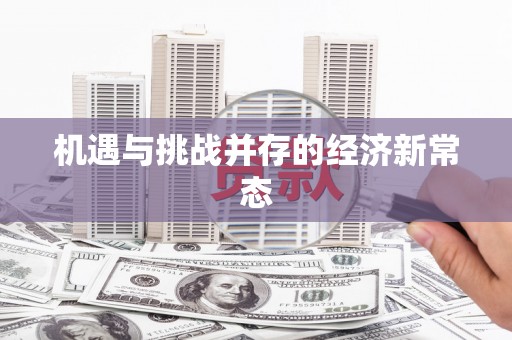 松北机遇与挑战并存的经济新常态