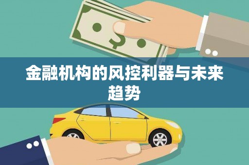 松北金融机构的风控利器与未来趋势