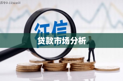 松北贷款市场分析