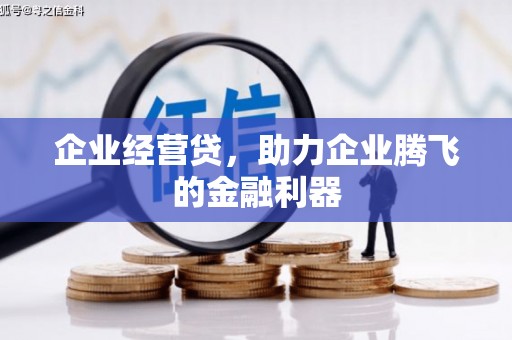 松北企业经营贷，助力企业腾飞的金融利器