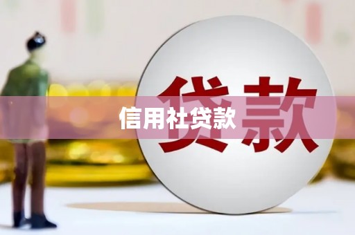 松北信用社贷款