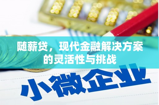 松北随薪贷，现代金融解决方案的灵活性与挑战