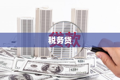 松北税务贷