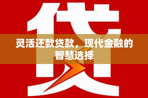 松北灵活还款贷款，现代金融的智慧选择