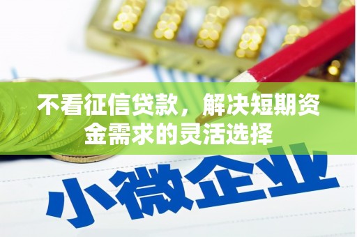 松北不看征信贷款，解决短期资金需求的灵活选择