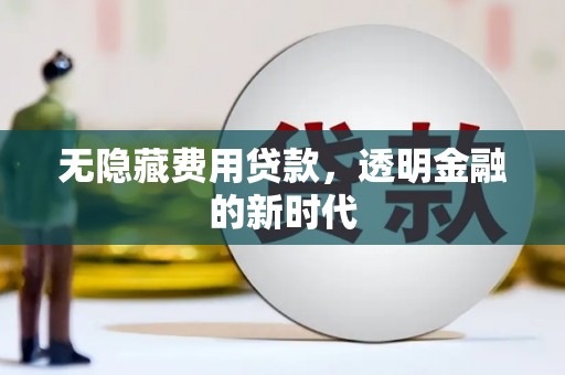 松北无隐藏费用贷款，透明金融的新时代