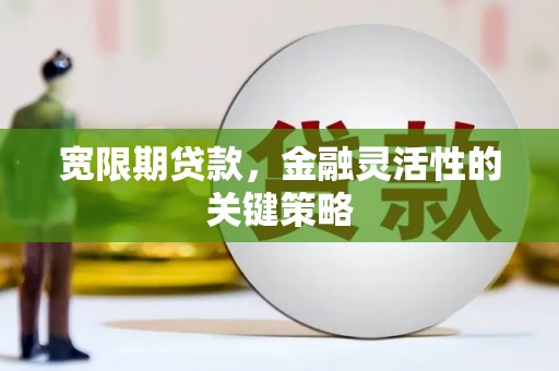 松北宽限期贷款，金融灵活性的关键策略