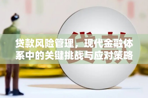 松北贷款风险管理，现代金融体系中的关键挑战与应对策略