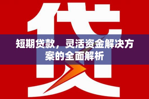 松北短期贷款，灵活资金解决方案的全面解析