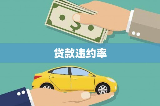 松北贷款违约率