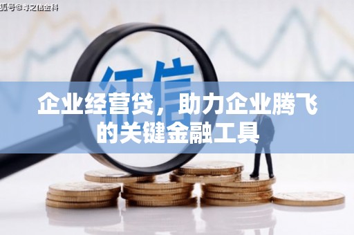 松北企业经营贷，助力企业腾飞的关键金融工具