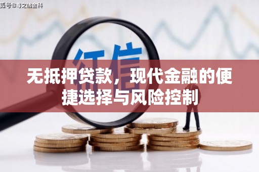 松北无抵押贷款，现代金融的便捷选择与风险控制