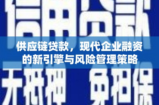 松北供应链贷款，现代企业融资的新引擎与风险管理策略