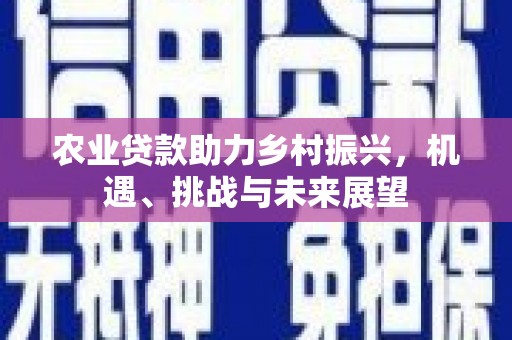 松北农业贷款助力乡村振兴，机遇、挑战与未来展望