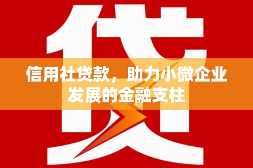 松北信用社贷款，助力小微企业发展的金融支柱