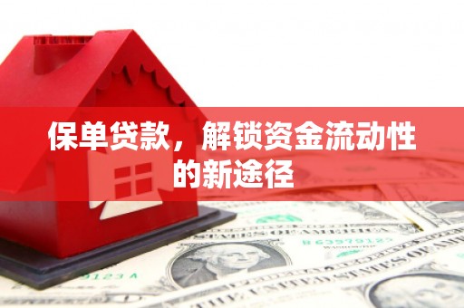 松北保单贷款，解锁资金流动性的新途径