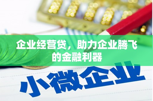 松北企业经营贷，助力企业腾飞的金融利器