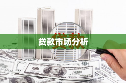 松北贷款市场分析