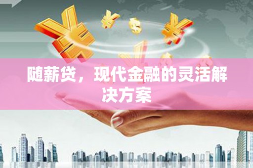 松北随薪贷，现代金融的灵活解决方案