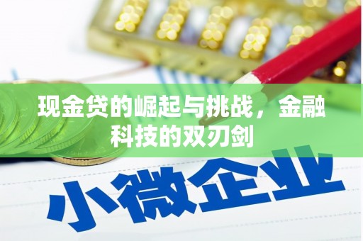 松北现金贷的崛起与挑战，金融科技的双刃剑