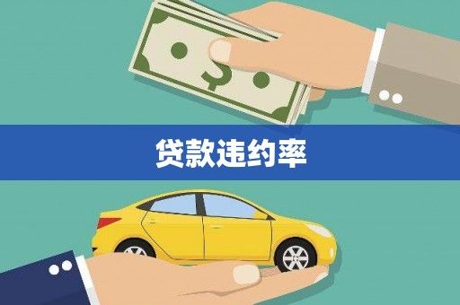 松北贷款违约率
