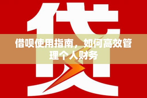 松北借呗使用指南，如何高效管理个人财务