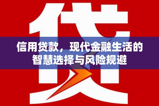 松北信用贷款，现代金融生活的智慧选择与风险规避