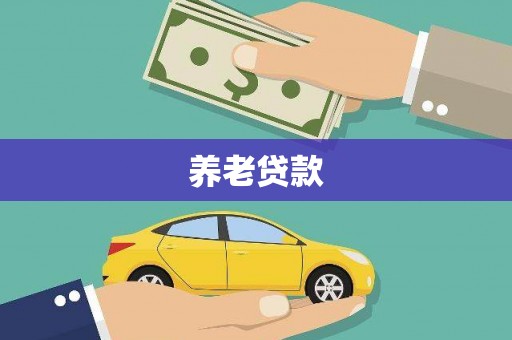 松北养老贷款