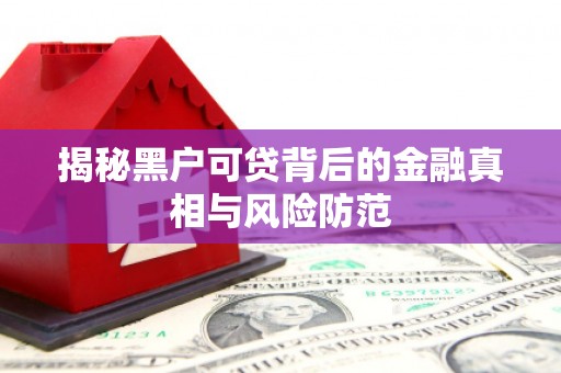 松北揭秘黑户可贷背后的金融真相与风险防范