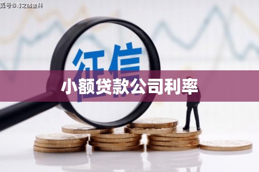 松北小额贷款公司利率